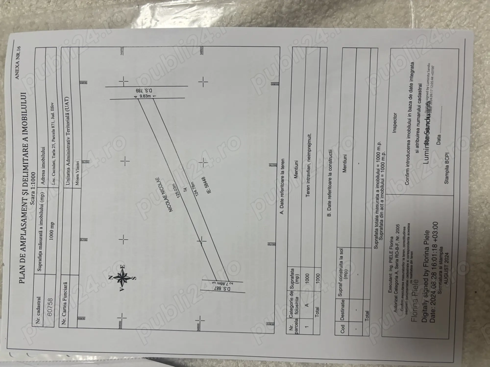 Teren intravilan situat la Caciulati, 20 min de București  Teren intravilan situat la Caciulati, 20 min de București