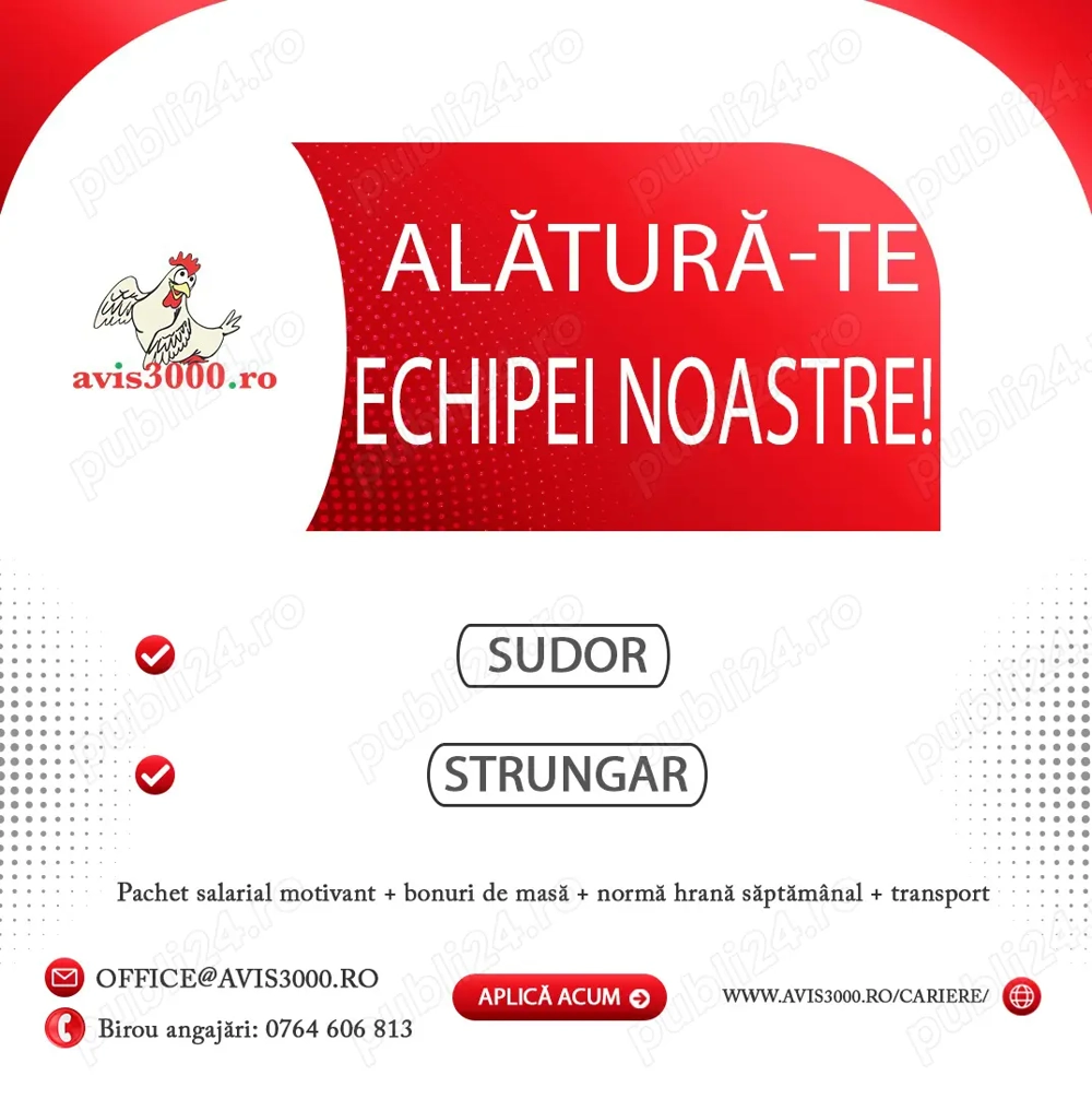 Avis 3000 angajează pentru abatorul din Șoimuș Sudor și Strungar