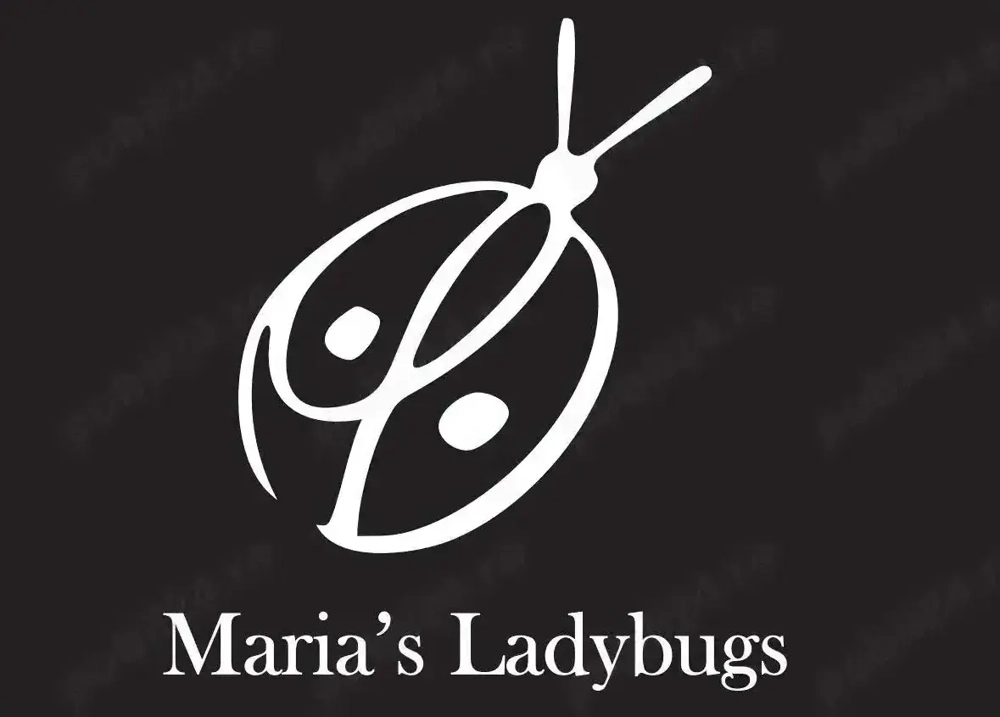 Reprezentant vanzari Palas Reprezentant vanzari Palas