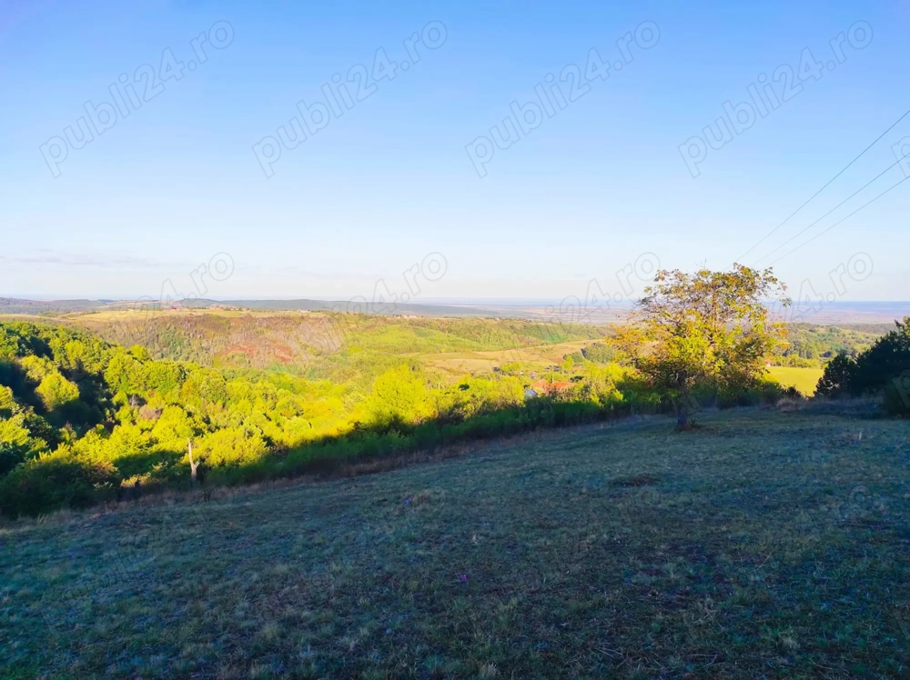 Terenuri de vis, apusuri peste dealuri și liniște totală (7.700 mp + 2.300 mp)
