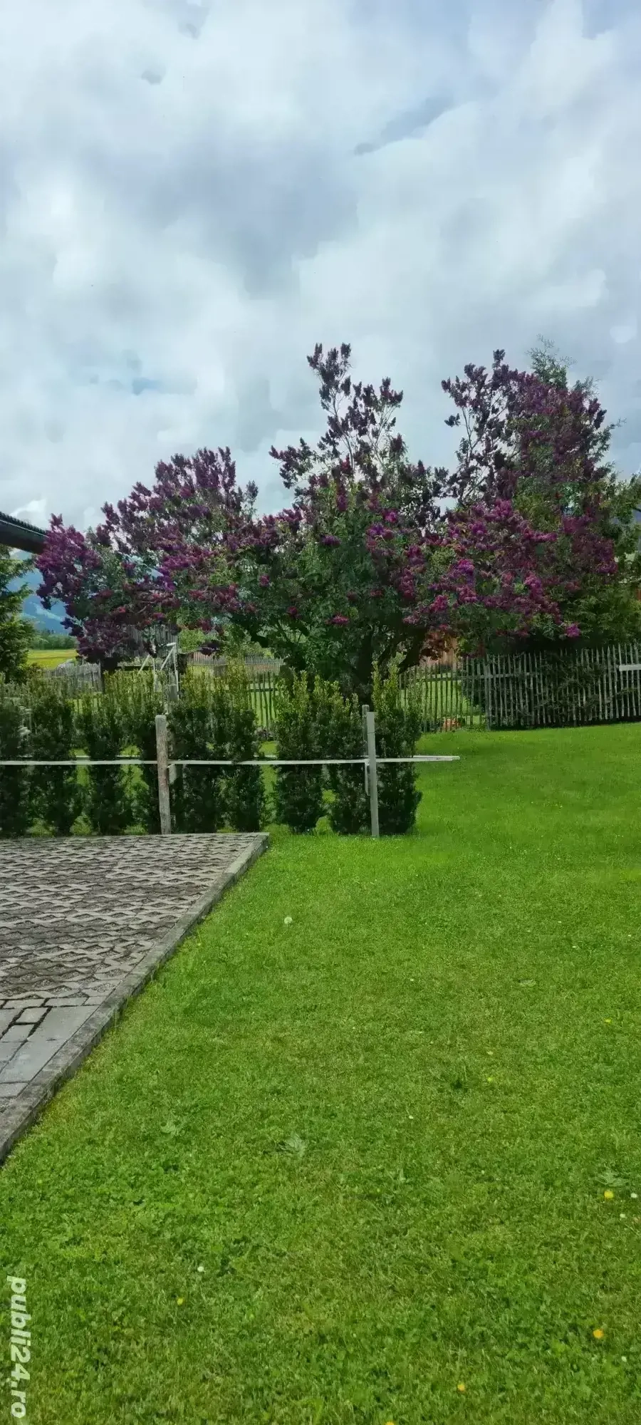 Apartament Brezoi VL Apartament Brezoi VL