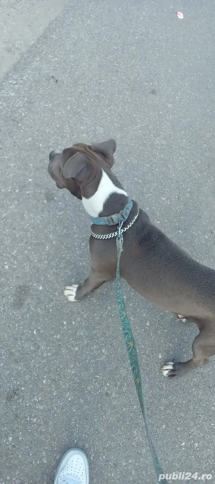 catea amtaff catea amtaff