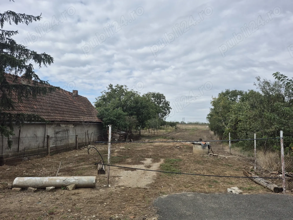 Vand teren intravilan in Ghioroc