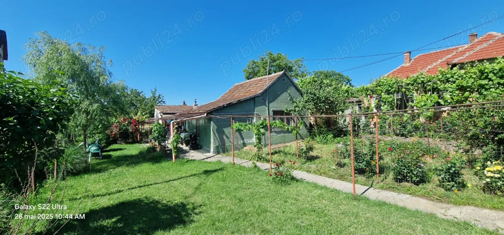 Casa confecții silvas 