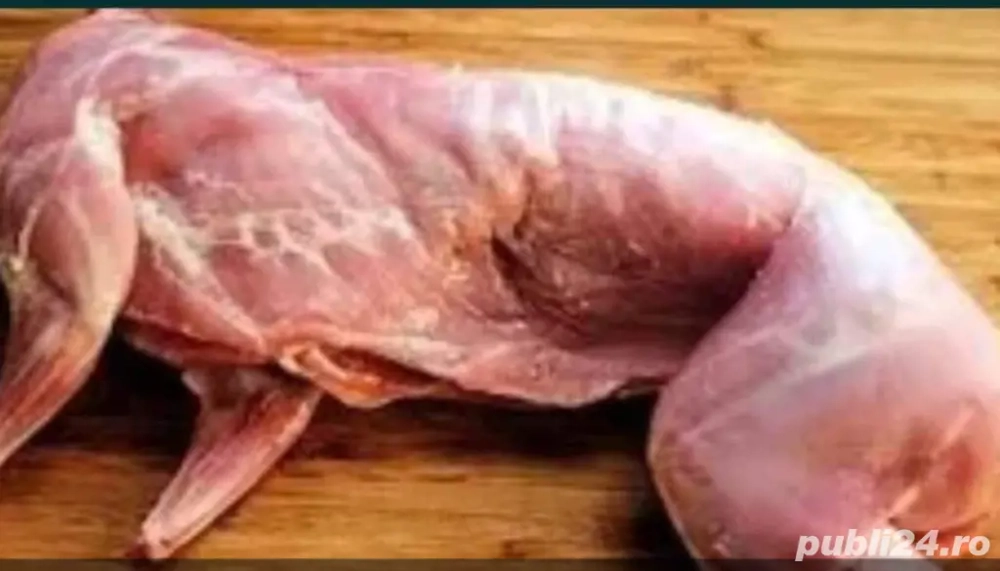 Carcasa de iepure Carcasa de iepure