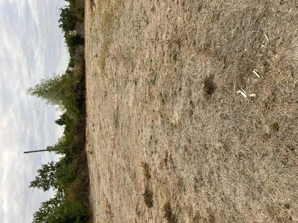 Teren intravilan in Arges