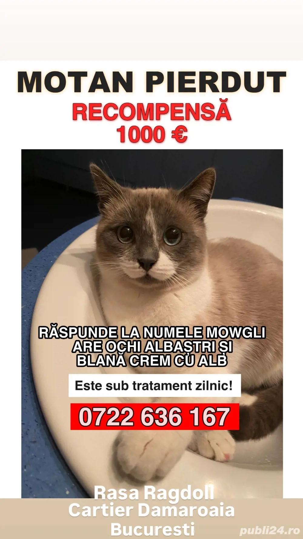 Motan Disparut Motan Disparut