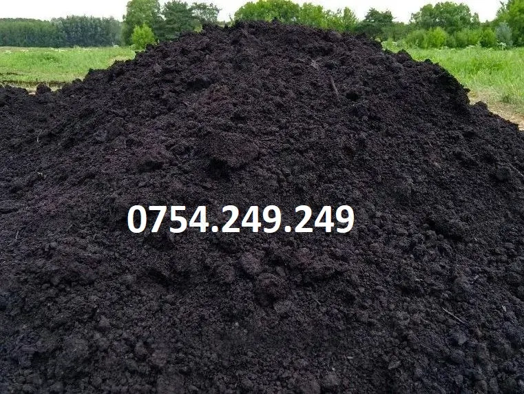 Pamant negru, balast, sort, nisip, ciment