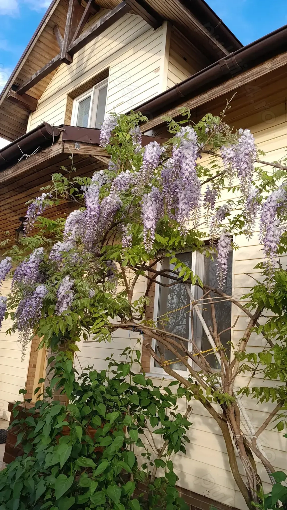 Vând casă cu teren.