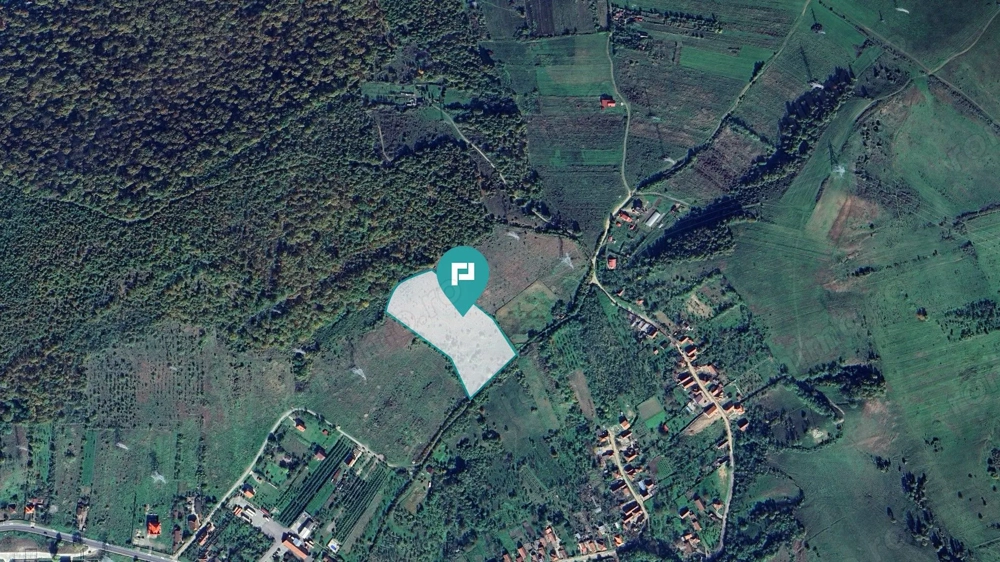 Teren fâneaţă lângă pădure - Hunedoara
