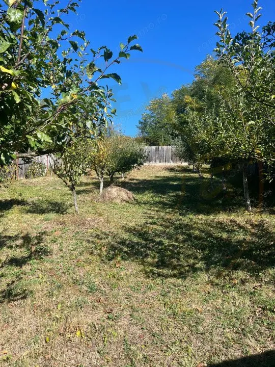 Teren 1128 intravilan + Casa batraneasca  Darmanesti Arges 