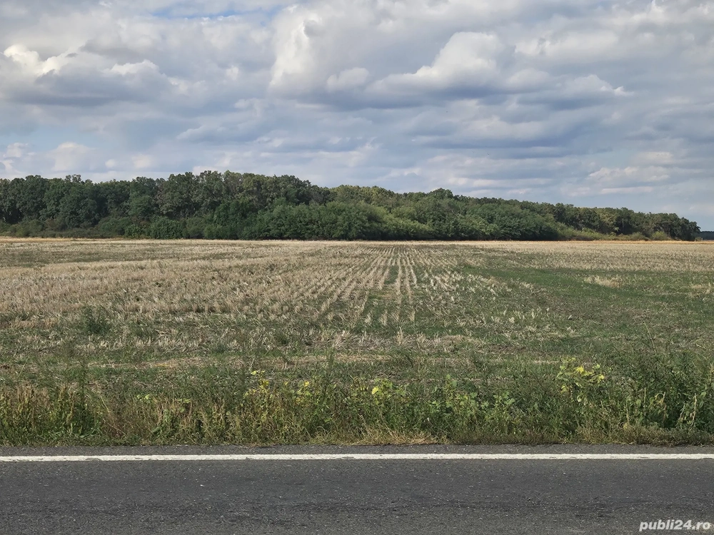16660 mp FUNDULEA de inchiriat 16660 mp FUNDULEA de inchiriat