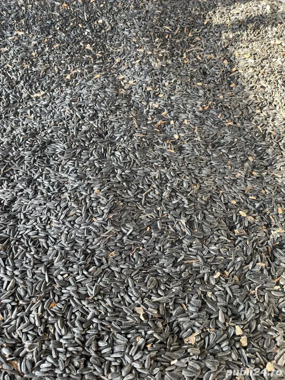 Vand Floarea Soarelui