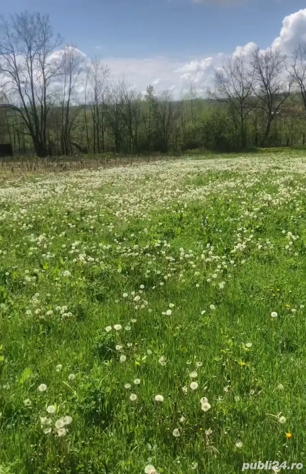 vand teren intravilan