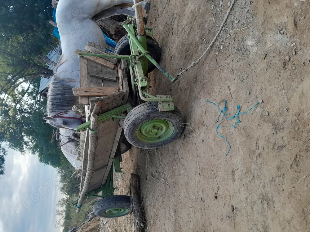 Vad căruță  buna pe verarie și pe butuci