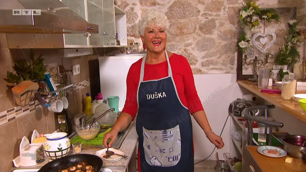 Menajera - Gospodina Harnica - Salary Ecelent