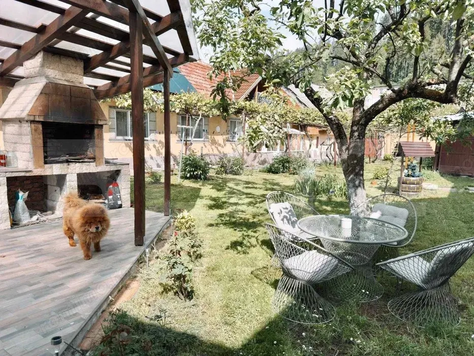 Apartament de 2 camere de închiriat în Râșnov Apartament de 2 camere de închiriat în Râșnov