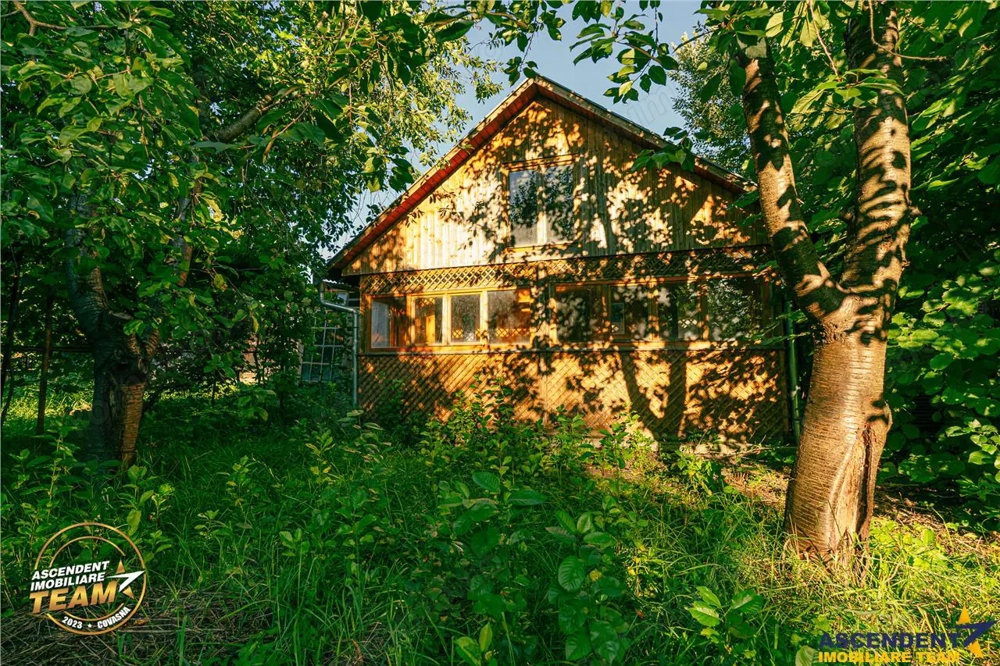FILM! Casuta cu peste 800mp teren, areal estimabil, Lenin, Sfantu Gheorghe