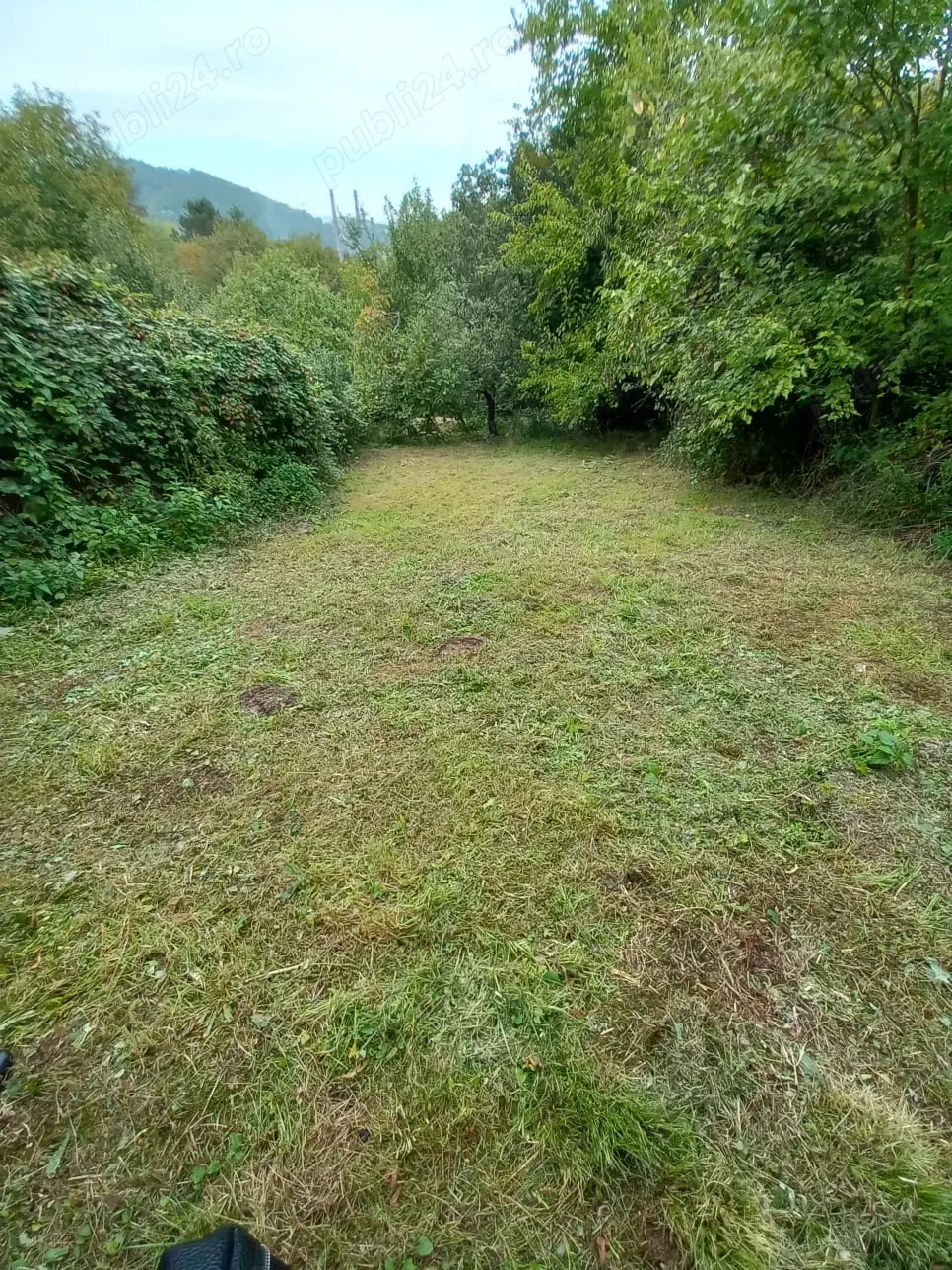 De vânzare casă bătrânească cu teren generos în Poiana Golului   Reșița