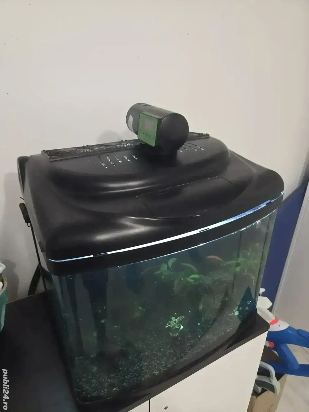 Acvariu curbat 60 litri Acvariu curbat 60 litri