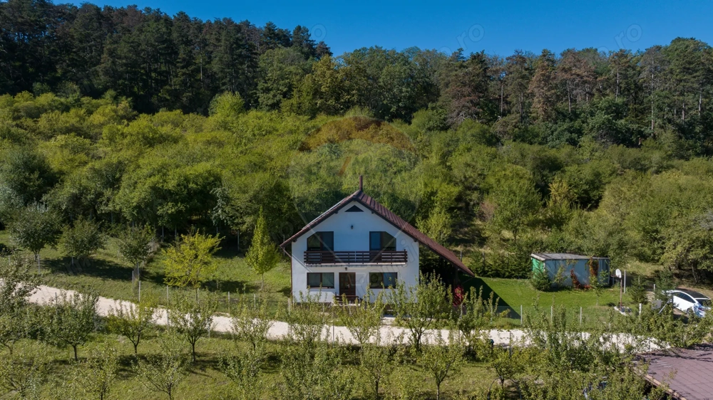 Comision 0%! Vilă modernă, în mijlocul naturii
