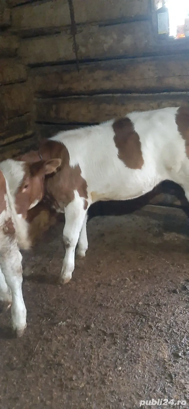 de vanzare de vanzare