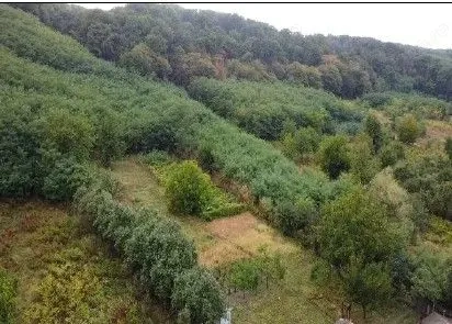 Teren Duta-Epureni, ID: R2757048