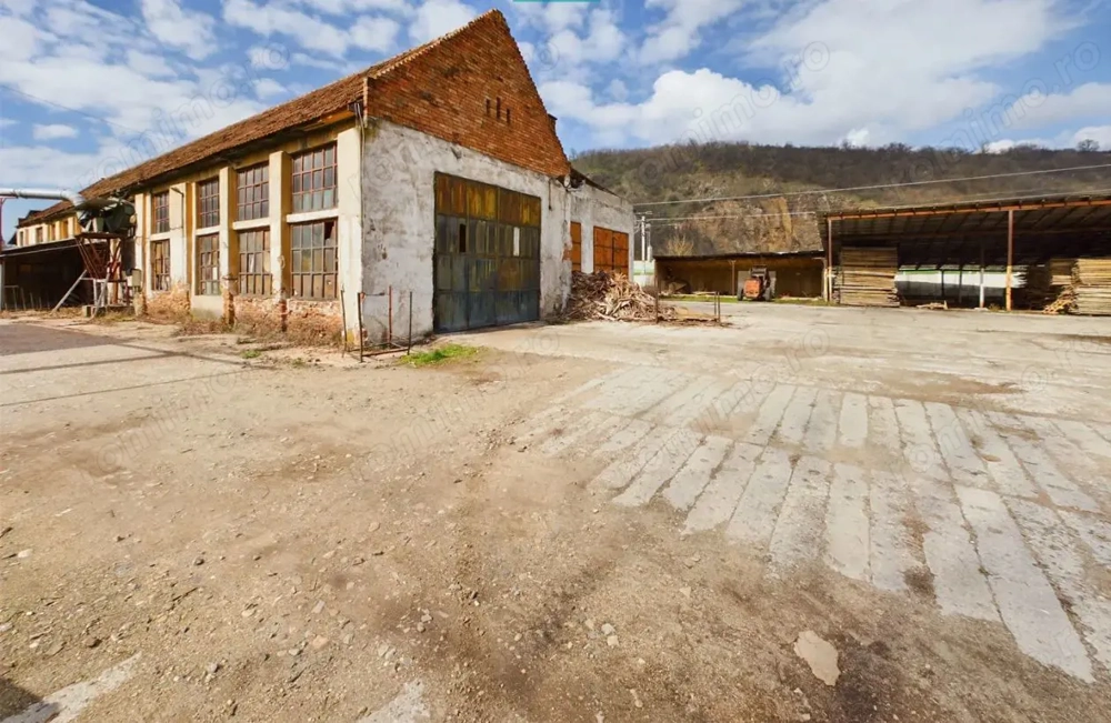 Fabrica prelucrare lemn de vanzare – Lipova, Arad