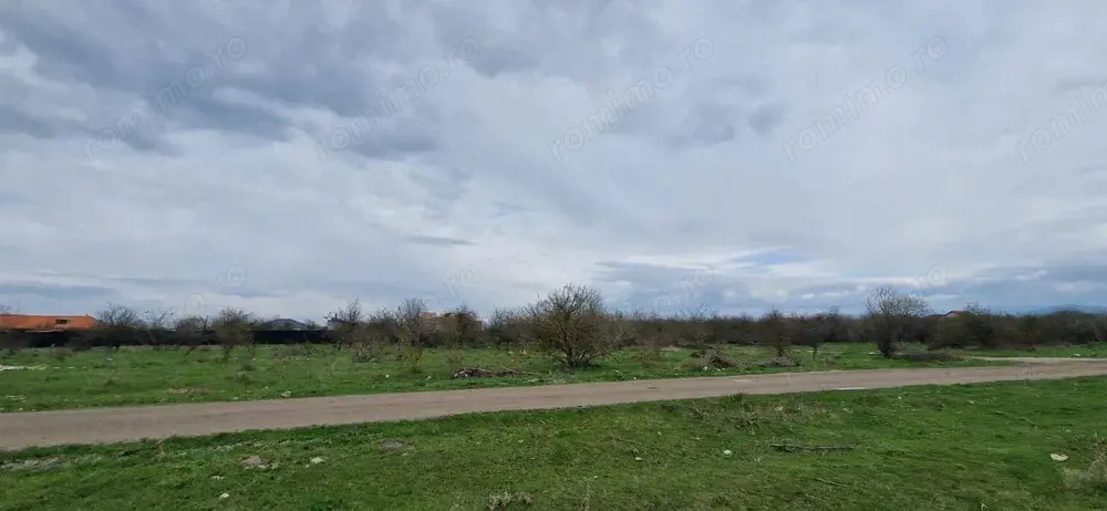 Teren Intravilan 800 mp Sanpetru