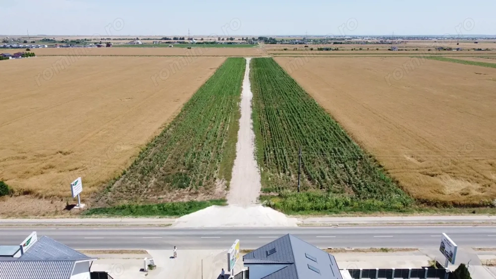 Teren Intravilan In Rate Com Berceni | utilitati: curent, gaz | #MG10