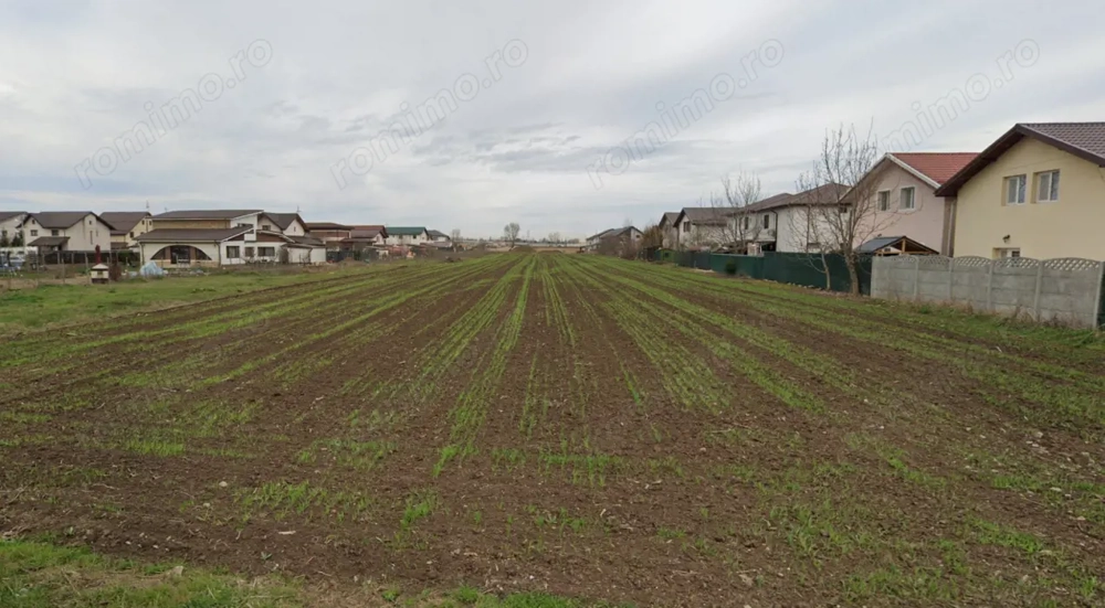 Teren Extravilan Padurea Craiului la intrarea in Com. Berceni | 3600mp