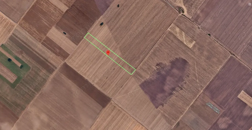 Teren Extravilan In Rate Primaverii Com. Berceni | 6304mp | #EG44