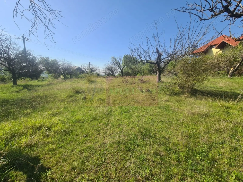 Teren de vanzare in Campina in zona retrasa