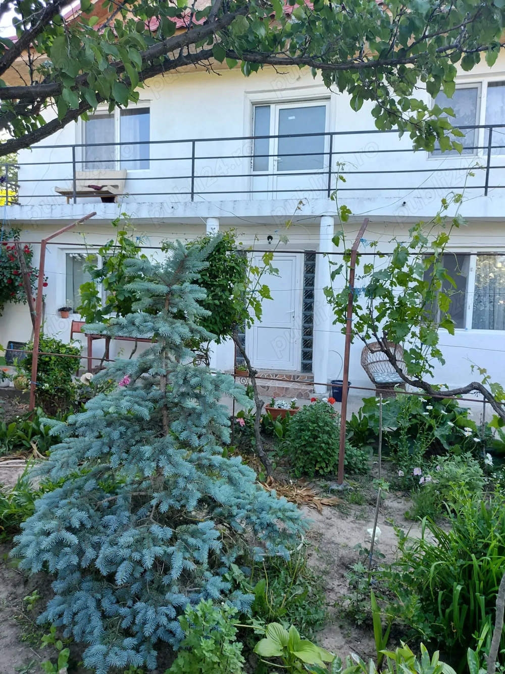 Casă Cataloi in zonă rezidențială 2000mp