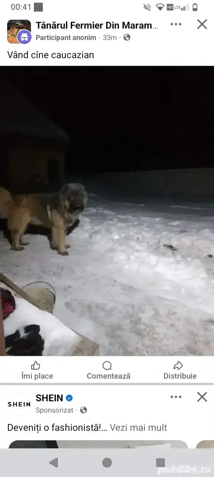 caine caucazian  caine caucazian