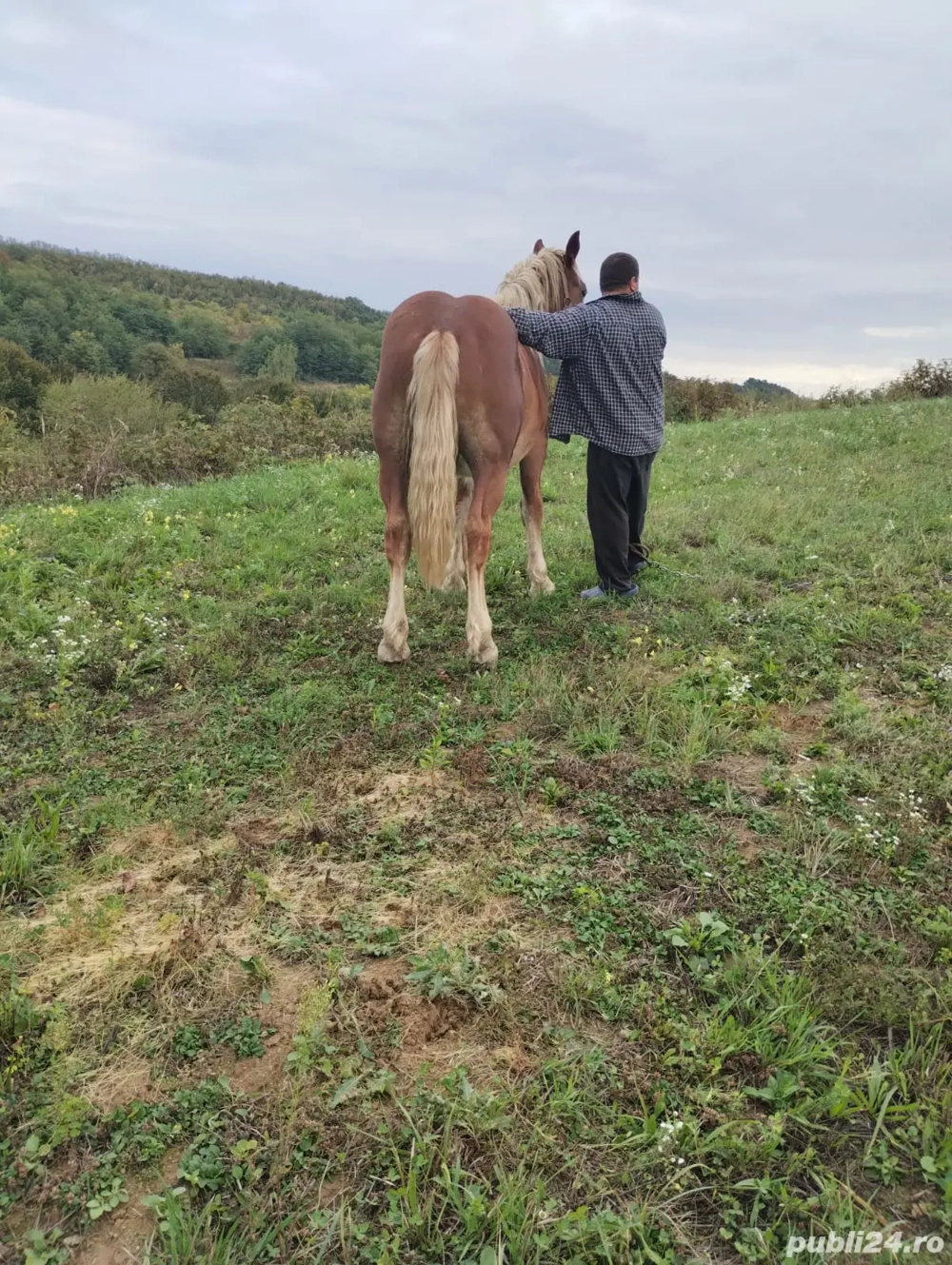 vand manz de un an si patru luni