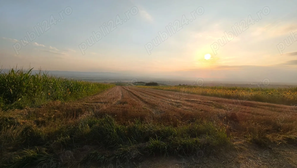 Teren intravilan 5700 mp, Vadu Moldovei