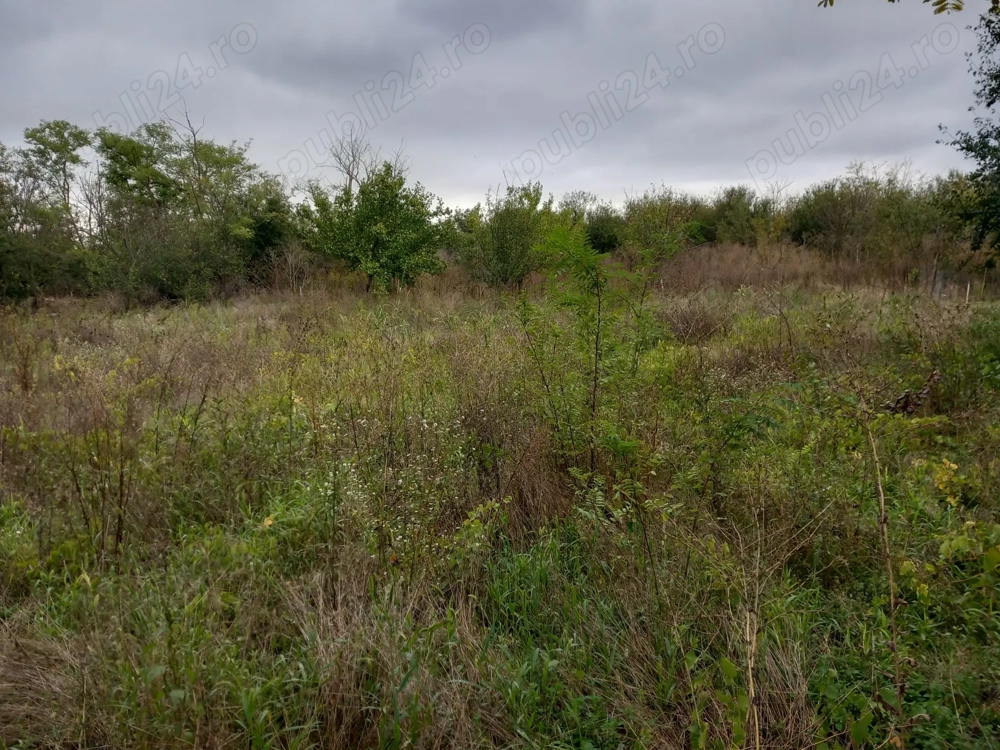 Teren de vanzare 