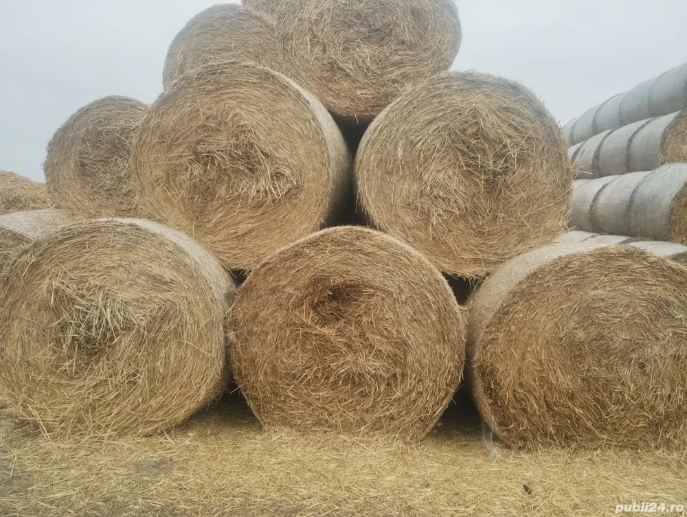 vand baloti de paie si tulei