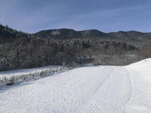 Vând teren intravilan, două loturi cu  suprafață  de 1000 mp fiecare, cadastru făcut,județul Neamț.  Vând teren intravilan, două loturi cu  suprafață  de 1000 mp fiecare, cadastru făcut,județul Neamț.