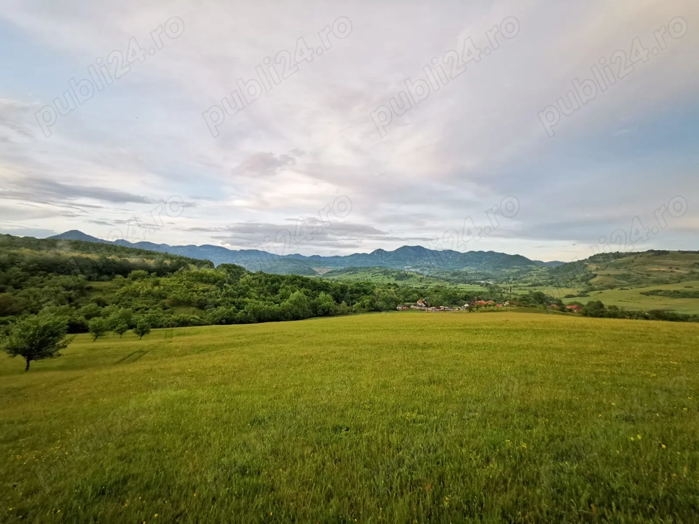 Teren extravilanVând teren extravilan Localitatea barsau  Suprafața 4394 mp Toate utilitățile la cca