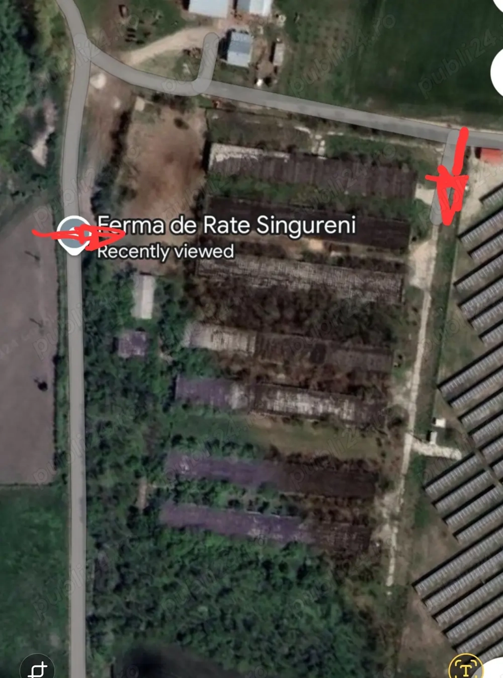 Inchiriere teren 30,000mp si hale in conservare Singureni Giurgiu