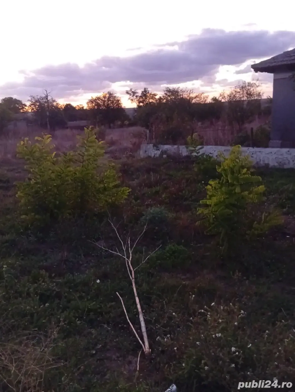 case de vânzare Vâlcele Constanța case de vânzare Vâlcele Constanța