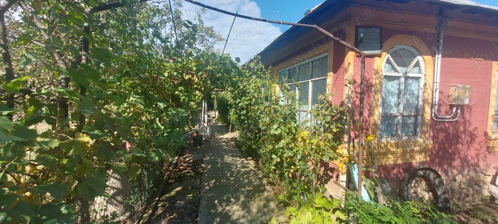 Casa batraneasca si teren Casa batraneasca si teren