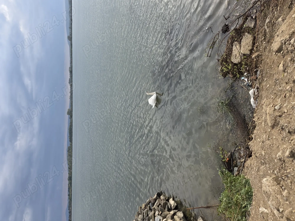 Teren cu iesire la dunare