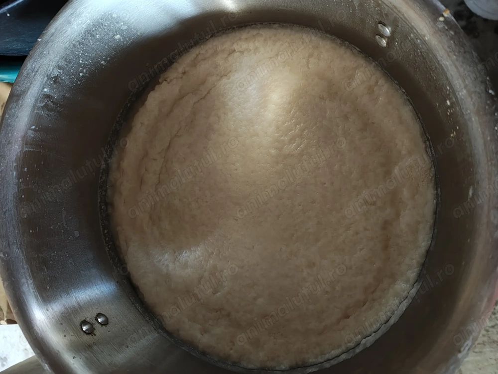 Vând untură de porc  Vând untură de porc