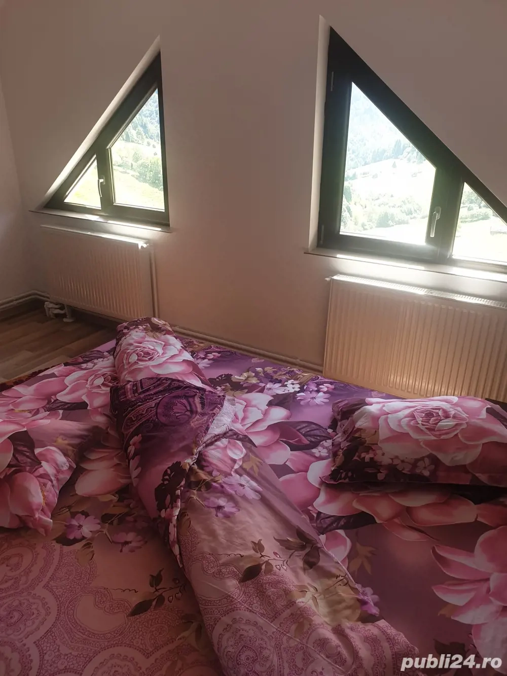 Pensiune de revelion