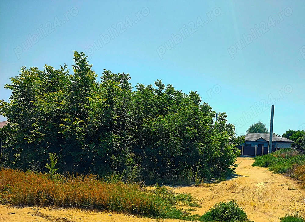 Teren intravilan Chiscani Brăila