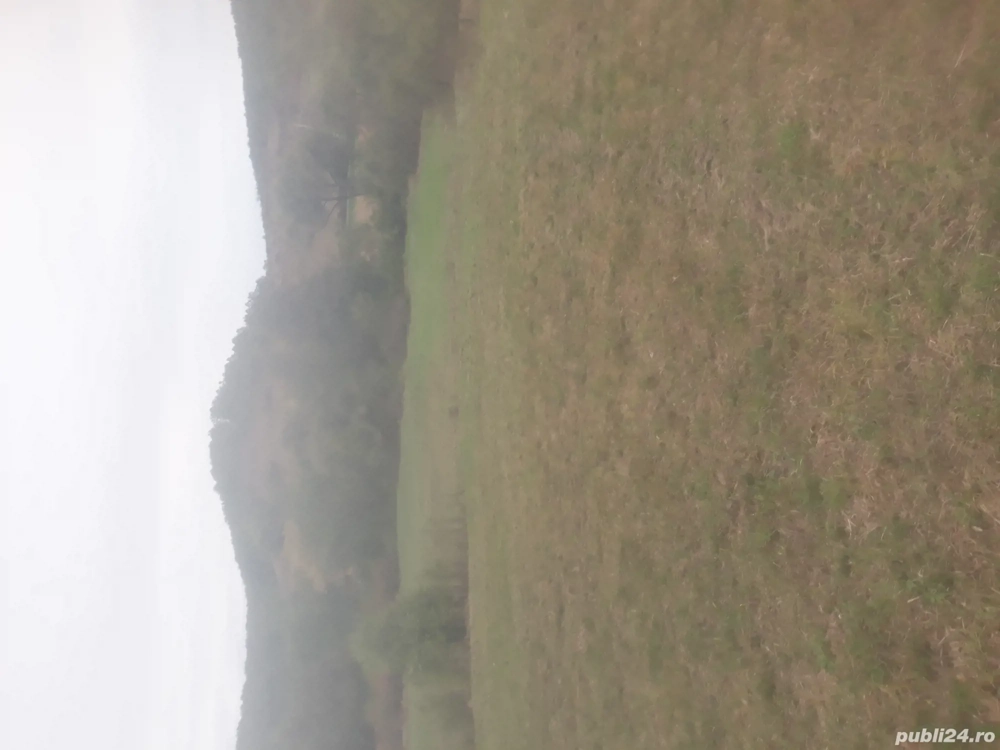 DE vînzare teren extravilant intravilan POPESTI JUDEȚUL HUNEDOARA informatii la nr  