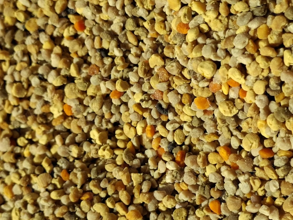 Produse apicole 100% naturale 